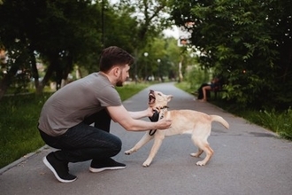 犬が『後ずさりしながら吠える』のはなぜ？飼い主から距離をとろうとする理由まで解説