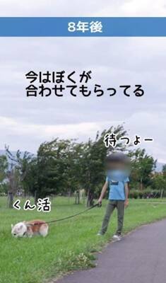 茶色の毛を持つ赤ちゃんコーギー犬…13年後→まるで別犬な『ビフォーアフター』が216万再生「大切にされてるのわかる」「パンみたい」