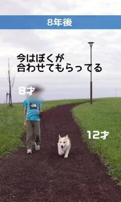 茶色の毛を持つ赤ちゃんコーギー犬…13年後→まるで別犬な『ビフォーアフター』が216万再生「大切にされてるのわかる」「パンみたい」