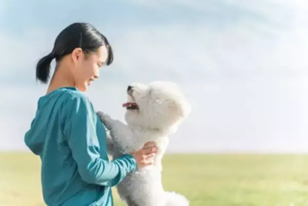 『初心者でも飼いやすい』犬種５選　手がかからないと言われている理由や必ず知っておくべきことまで