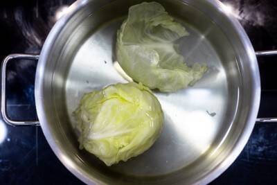 犬に『キャベツ』を与えるときの絶対NG行為５選　誤った食べさせ方による危険な症状まで