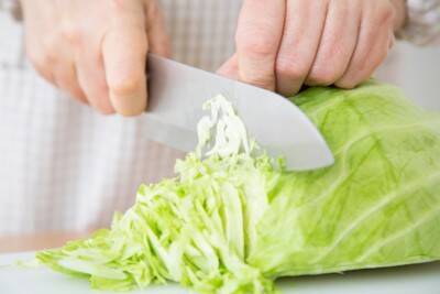 犬に『キャベツ』を与えるときの絶対NG行為５選　誤った食べさせ方による危険な症状まで