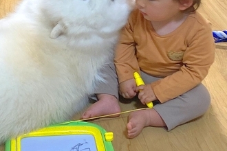 赤ちゃんが生まれた時からずっとそばにいる大型犬→思った以上に『クセの強い見守り方』が32万表示「アザラシ味がすごいｗ」「角度に笑った」