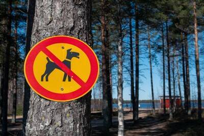 『迷惑な犬の飼い主』の共通点4選　周囲への配慮が足りていない人の特徴とは？