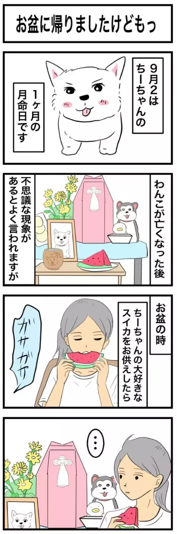ちーちゃんですけどもっ【第373話】「お盆に帰りましたけどもっ」