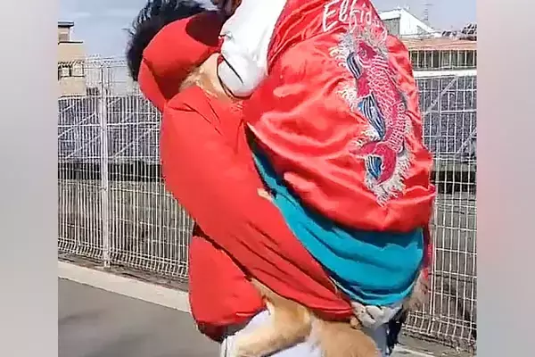 大型犬が『散歩で歩かなくなった』結果→仕方なく『おんぶ』して…思わず二度見する『人間の子供にしか見えない光景』に反響「スカジャン似合う」