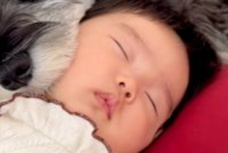 赤ちゃんが大好きな犬→ピッタリとくっつきながら…あまりにも尊い『添い寝の仕方』に悶絶の声「天使と天使」「どんな夢を見てるのかな」と絶賛