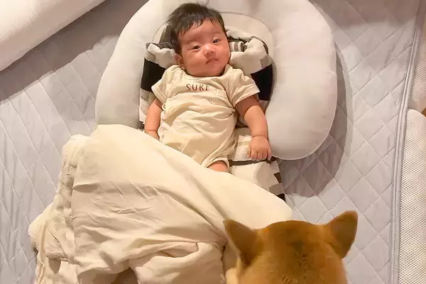 赤ちゃんが泣いているとすぐに駆け付ける犬→転がっている時には『お布団』を…愛おしすぎる光景が13万再生「素敵なお兄ちゃん」「ほっこりした」
