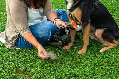 『ペット可のマンション』で犬を飼うときの注意点5つ　知っておくべきルールとは？