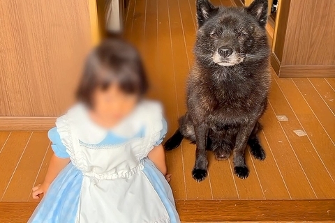 1歳の女の子が『犬と10日間離れることになった』結果→玄関で『お別れ』をしようとすると…泣ける反応が37万再生「涙出た」「離れたくないね」