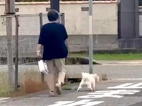 おばあちゃんが『犬の散歩中に立ち話を始めた』結果…後ろからでも分かる『ブチギレた光景』が219万再生「メッチャ怒ってて草」「プンスカｗ」