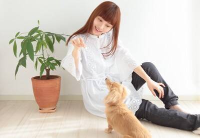 犬が『人に話しかけている』サイン５選　見逃したくないアピールや信頼関係を深める方法まで