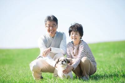 犬が『認知症』になったときに現れる症状5選　飼い主のことは忘れてしまうの？