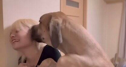 超大型犬が『仕事に行こうとするママ』にした行動…ダイナミック過ぎる『阻止方法』が愛おしすぎると74万再生「壁ドンで草」「愛が重いｗ」