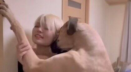 超大型犬が『仕事に行こうとするママ』にした行動…ダイナミック過ぎる『阻止方法』が愛おしすぎると74万再生「壁ドンで草」「愛が重いｗ」