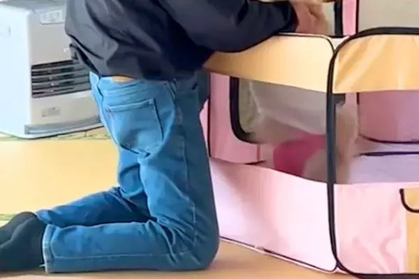 ワンコを連れて帰省→『犬が嫌いな父』がやけに静かだなと思ったら…『まさかすぎる光景』に反響「本当は大好きなのねｗ」「ホッコリした」