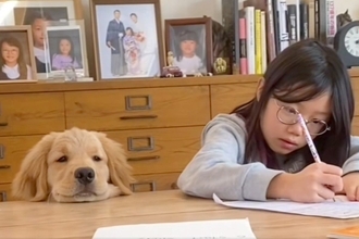 宿題をする女の子を見守っていた犬→待ちきれなくなってしまい…可愛すぎる『遊びのお誘い』が96万再生「愛されてるんだろうな」「子犬彼氏」