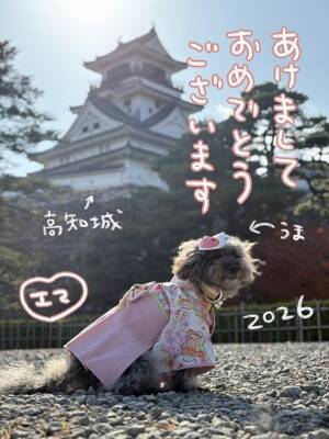 犬と暮らせば【第522話】「2026年あけましておめでとうございます」