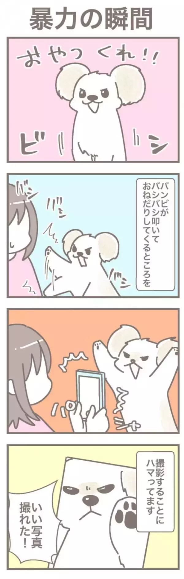 うちの王様にはどうしても抗えない【第350話】「暴力の瞬間」