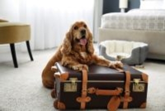 愛犬を預ける時にどんなことをしておくといい？『愛犬を預ける前にチェックしておくべきこと』を獣医が解説