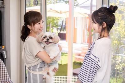 愛犬を預ける時にどんなことをしておくといい？『愛犬を預ける前にチェックしておくべきこと』を獣医が解説