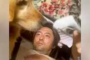 パパの上でじゃれあう『子猫と大型犬』→ガン見していたら、ワンコが…予想外だった展開が41万再生「おもろすぎｗｗ」「みんな可愛い」と爆笑