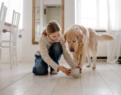 犬の『飲み水』を交換する適切な頻度とは？毎日変えた方がいいの？間違った飲ませ方まで