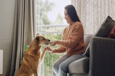 犬が『尊敬している人』にしかみせないサイン5選　リスペクトされるためのポイントまで