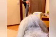愛犬を亡くした夫婦→妻が夫に内緒で『そっくりのぬいぐるみ』を渡した結果…涙が止まらない『再会の瞬間』に反響「帰ってきたみたい」「素敵」