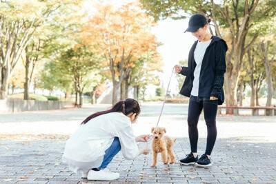 犬が初めて会った人の『ニオイを嗅ぐ』心理4つ　どんな意味があるの？適切な対応まで