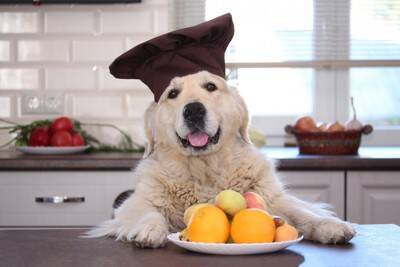 犬に与えても大丈夫な『春の野菜』３選　愛犬と一緒に食べられる食材とは？