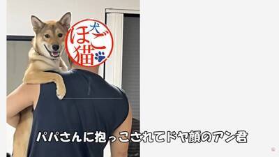 倉庫の下で産まれた赤ちゃん犬…『保護から現在までの姿』に涙が止まらないと182万再生「幸せな出逢いに感謝」と感動の声集まる