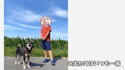 倉庫の下で産まれた赤ちゃん犬…『保護から現在までの姿』に涙が止まらないと182万再生「幸せな出逢いに感謝」と感動の声集まる