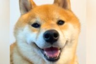 ニコニコの犬に『明日、病院』と伝えた結果→笑顔が消えて…わかりやす過ぎる『表情』が69万再生「ゲッソリしてて草」「中に人が入ってるｗ」