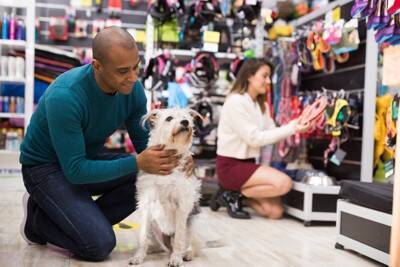 犬の散歩で使ってはいけない『絶対NGなリード』5選　愛犬を危険にさらすリードの特徴とは？
