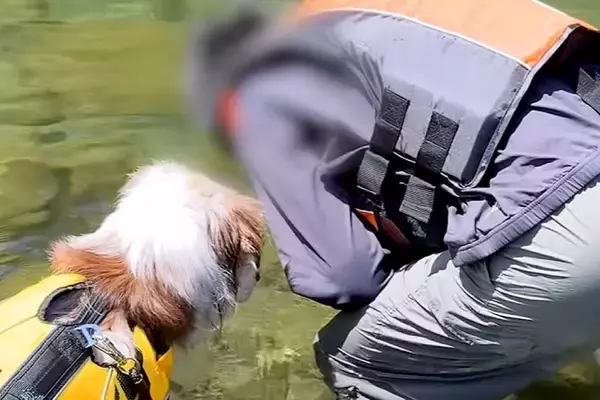 キャンプ場で『川に魚がいるか』を見ていたら、犬も寄ってきて…人間の子どものような『可愛すぎる光景』が10万再生「小学生みたいｗ」「仲良し」