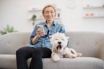 犬の『危険なあくび』5選　病気かどうかを判断する方法や仕草に隠された意味とは？