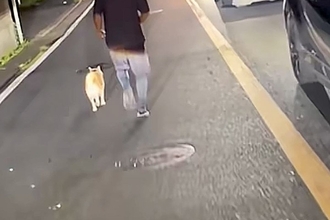夜、道路で走る『迷子犬』を発見→男性が必死に追いかけて…あまりにも素敵な『神対応』が68万再生「本当にありがとう」「命の恩人でしかない」
