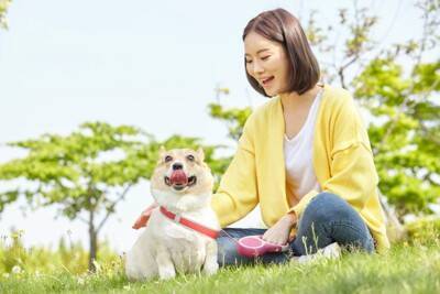 犬の『プライド』が傷つく絶対NG行為5選　飼い主の何気ない行動が愛犬を悲しませてしまうことも…