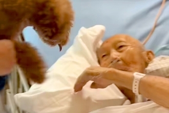 入院中、ずっと『犬に会いたい』と言っていたおじいちゃん→亡くなる直前の『再会の瞬間』に涙が出ると80万再生「動物の力は絶大」「感謝」