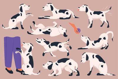 犬との信頼関係をマイナスにする飼い主の行動４選　より良い関係を保つ方法も紹介