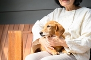人は高齢でも犬を飼うことができる？愛犬を不幸にさせないために知っておくべきことまで