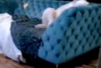 『ウチの大型犬、中身は人間かもしれない…』留守番中のワンコをカメラで確認した結果→衝撃的な光景が191万再生「背中にチャックある？ｗ」