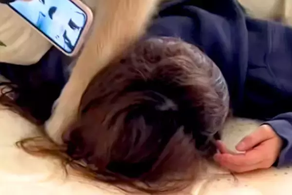 朝、娘のスマホが鳴り響いていたので見に行った結果→大型犬が…まるで『本当の母親』のような光景が24万再生「なんて幸せ」「プロレスで草」