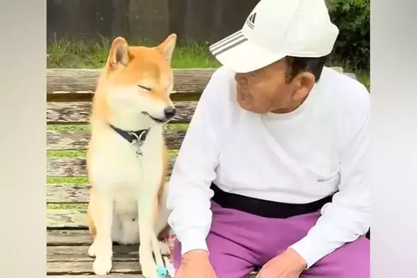 公園でおじいちゃんに遭遇した犬→隣に座ったと思ったら…離れたくなくてみせた『微笑ましい光景』が5万再生「居心地いいもんね」「可愛すぎ」