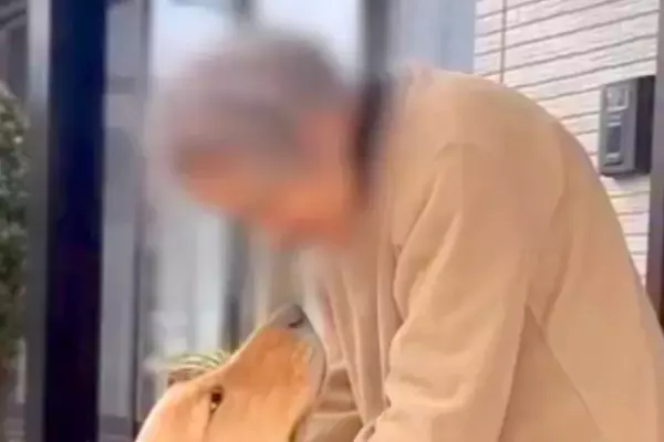 ご近所の『おばあちゃん宅』を訪ねた大型犬→互いに見つめあって…あまりにも尊い『交流』が211万再生「相手をわかってる」「優しいお顔だ」