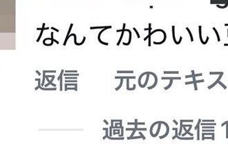 SNSに犬の写真を投稿→外国人からコメントがあり、翻訳したら…まさかの表現と『納得の光景』に絶賛「なんて可愛い豆」「わからんでもないｗ」