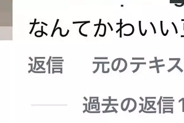 SNSに犬の写真を投稿→外国人からコメントがあり、翻訳したら…まさかの表現と『納得の光景』に絶賛「なんて可愛い豆」「わからんでもないｗ」
