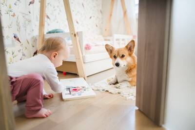 犬が『赤ちゃん』に優しくする理由とは？仲良くしてもらうための秘訣まで