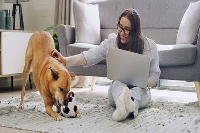 犬を外に連れて行けないときの『室内遊び』4つ　運動不足を解消する方法とは？